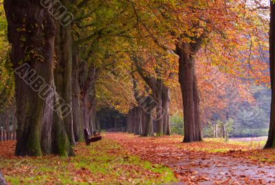 autumn