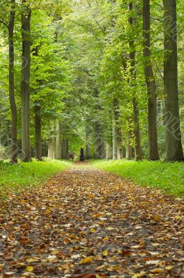 autumn in the park