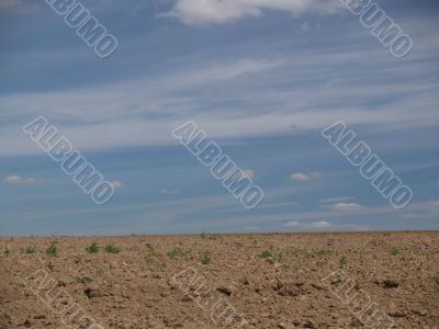 The ploughed field in hot day