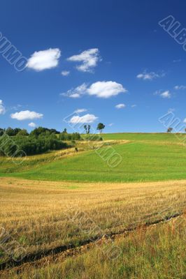 idyllic summer scenery