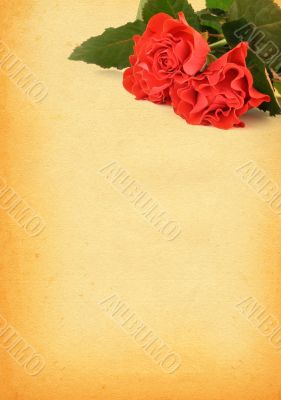 paper with rose motive