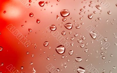 water drops background
