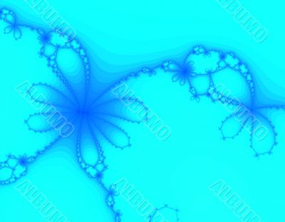 Butterfly daisy petal
