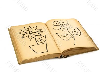 book with flower drawings