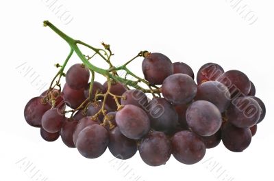 bunch of grapes