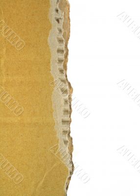 cardboard edge