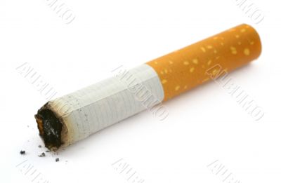 cigarette butt