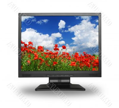 LCD with gorgeous landscape