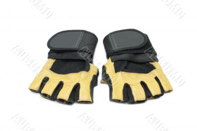 gloves