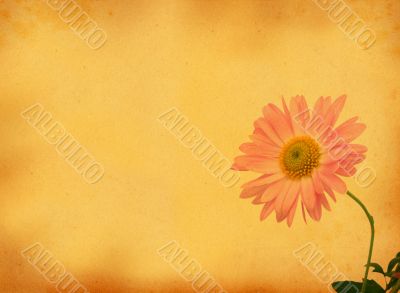 retro background with flower motive