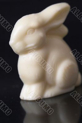 White chocolate bunny