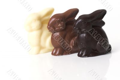 Chocolate easter bunnies