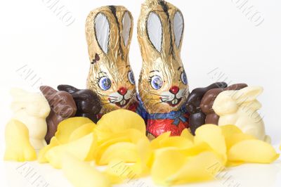 Easter bunny chocolate parade