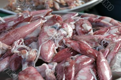 Fresh squid