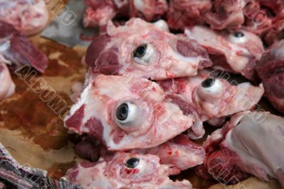 Cows eyes