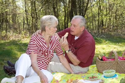 Picnic in the forest