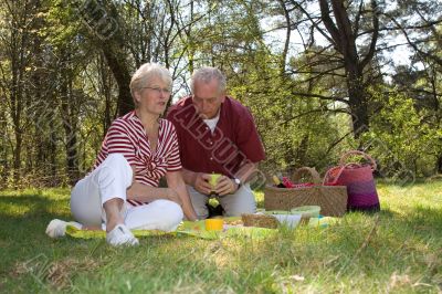 Having a picnic