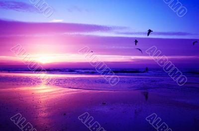 sunset on the beach