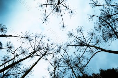 abstract background