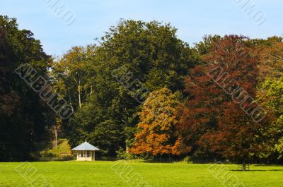 autumn