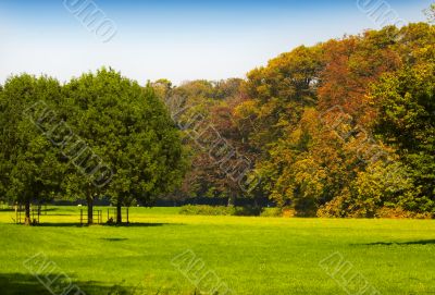 autumn