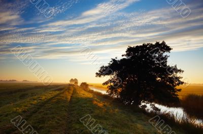 autumn morning landscape