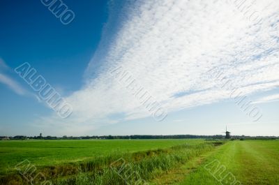 dutch landscape