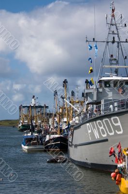 harbor on a sunny day