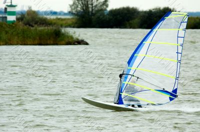 windsurfer