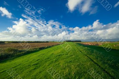 dutch farmland landsape