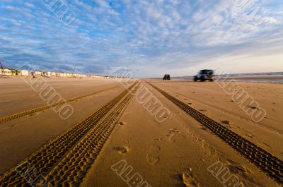 cars driving on the beach
