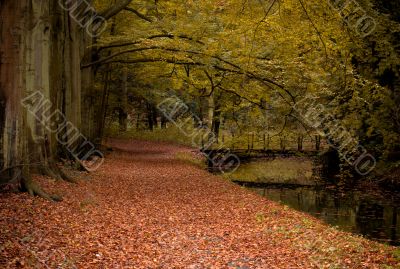 autumn colors