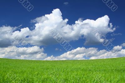 top of hill