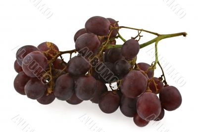 dark grapes