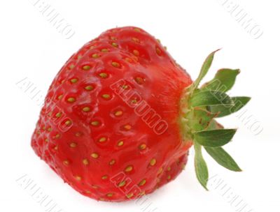 single strawberry