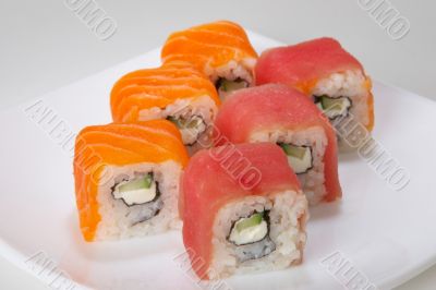 Rolls №5