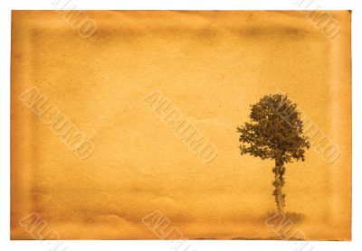 old paper with tree