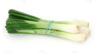spring onion