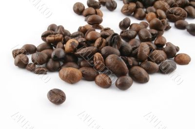 coffee beans on white