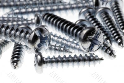 Metal Screws