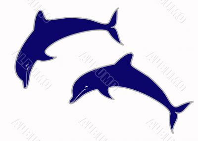 Jumping Dolphins