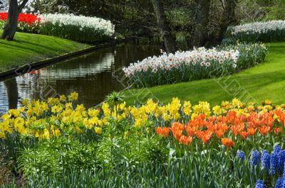 flower garden in spring