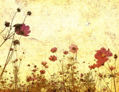 old-fashioned flower
