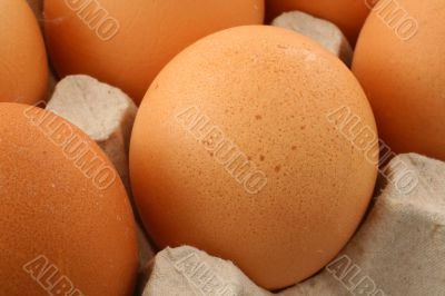 free-range eggs