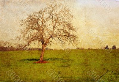 old-fashioned landscape