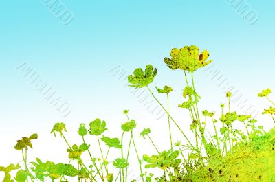 floral style textures