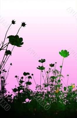 floral style textures
