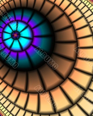 The eye