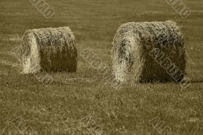 bale of hay