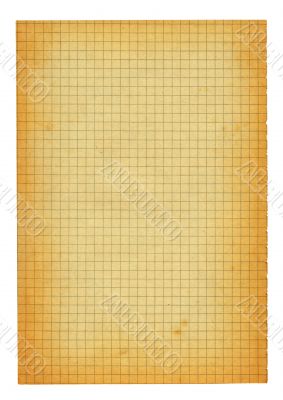 XXL size piece of old squared paper